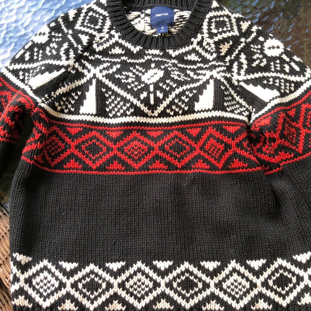 GapKids Seeater and flannel shirt